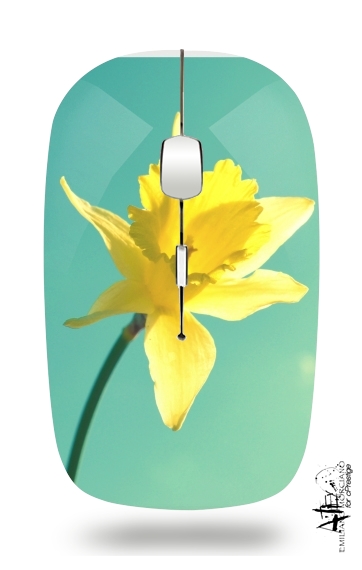  Daffodil for Wireless optical mouse with usb receiver