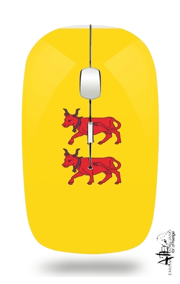  Drapeau Province du Bearn for Wireless optical mouse with usb receiver
