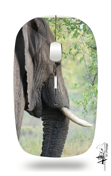  Elephant for Wireless optical mouse with usb receiver