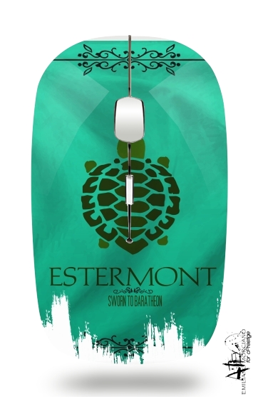  Flag House Estermont for Wireless optical mouse with usb receiver