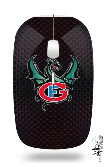  fribourg gotteron hockey for Wireless optical mouse with usb receiver