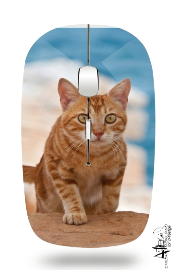  Ginger kitten on a cliff for Wireless optical mouse with usb receiver