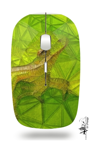  hidden frog for Wireless optical mouse with usb receiver