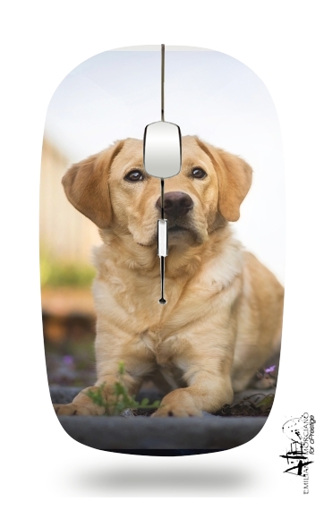  Labrador Dog for Wireless optical mouse with usb receiver