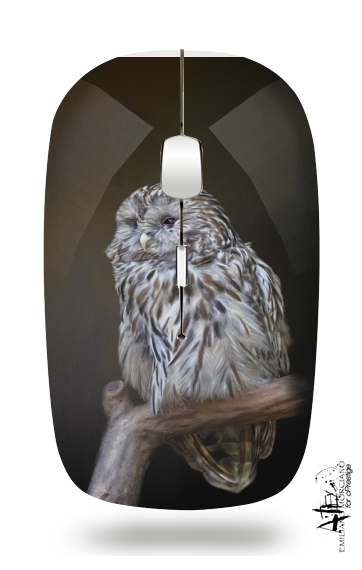  Lovely cute owl for Wireless optical mouse with usb receiver