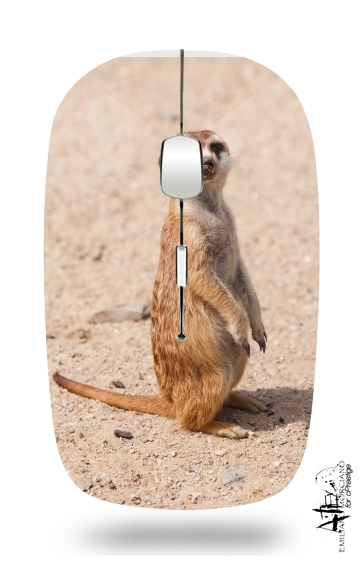  Meerkat for Wireless optical mouse with usb receiver