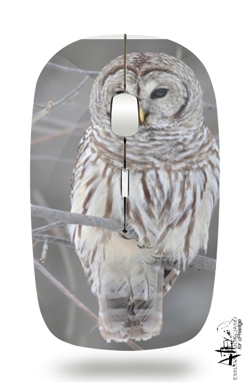  owl bird on a branch for Wireless optical mouse with usb receiver