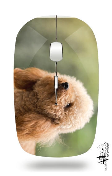  poodle on grassy field for Wireless optical mouse with usb receiver