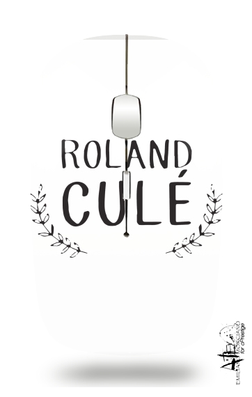  Roland Cule for Wireless optical mouse with usb receiver