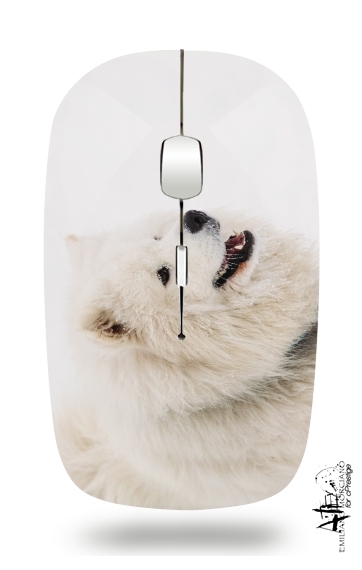  samoyede dog for Wireless optical mouse with usb receiver