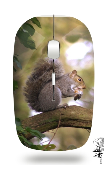  squirrel gentle for Wireless optical mouse with usb receiver