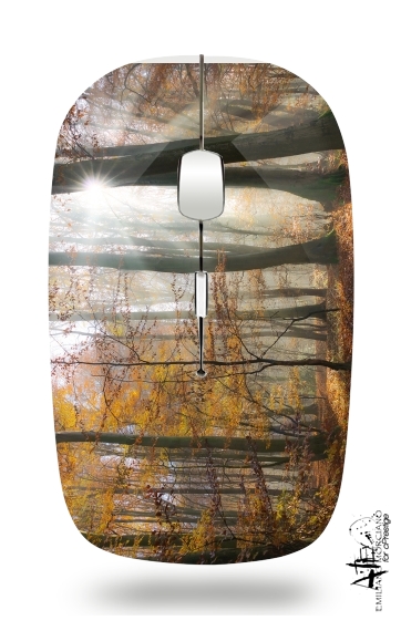  Sun rays in a mystic misty forest for Wireless optical mouse with usb receiver
