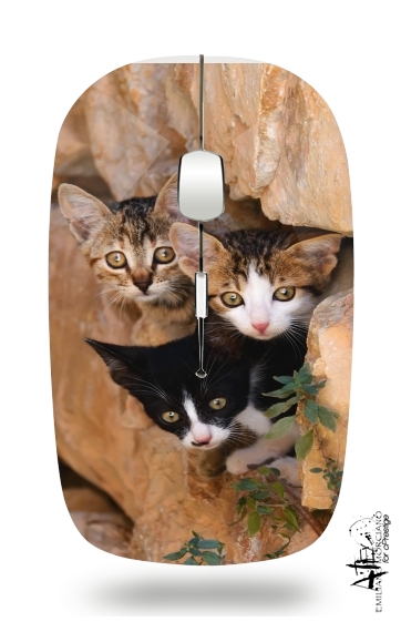  Three cute kittens in a wall hole for Wireless optical mouse with usb receiver