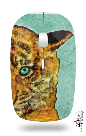  tiger baby for Wireless optical mouse with usb receiver