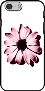 Case Daisy Burgundy for Iphone 6 4.7