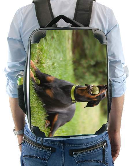  Adult Doberman for Backpack