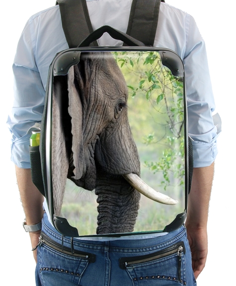 Elephant for Backpack