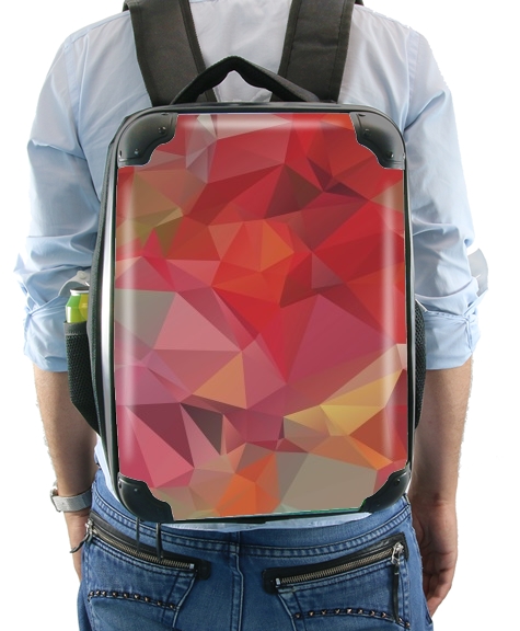  FourColor for Backpack