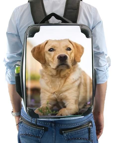  Labrador Dog for Backpack