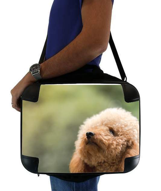  poodle on grassy field for Laptop briefcase 15" / Notebook / Tablet