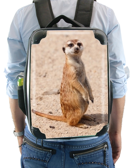  Meerkat for Backpack