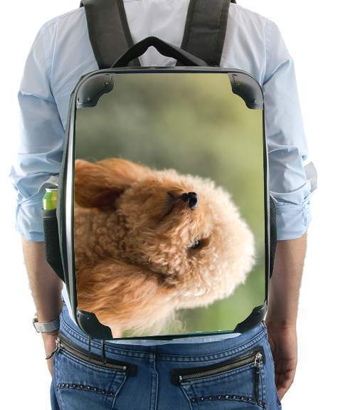  poodle on grassy field for Backpack