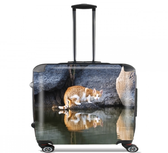  Cat Reflection in Pond Water for Wheeled bag cabin luggage suitcase trolley 17" laptop