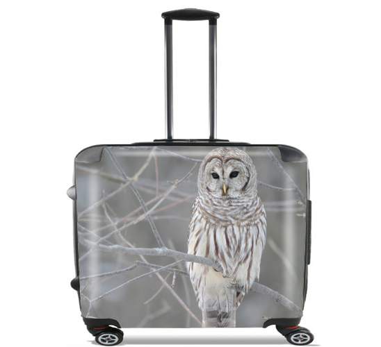  owl bird on a branch for Wheeled bag cabin luggage suitcase trolley 17" laptop