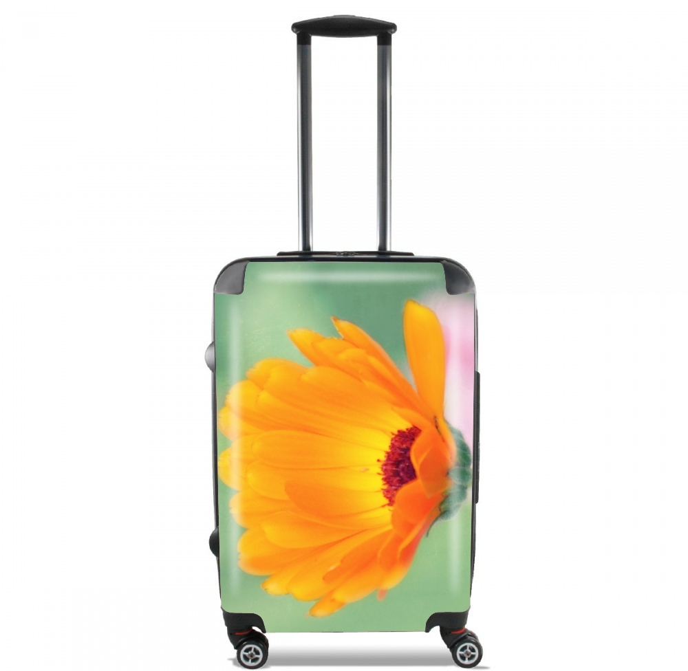  Be Beautiful for Lightweight Hand Luggage Bag - Cabin Baggage