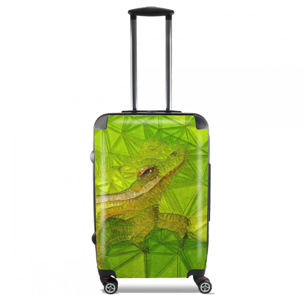 hidden frog for Lightweight Hand Luggage Bag - Cabin Baggage