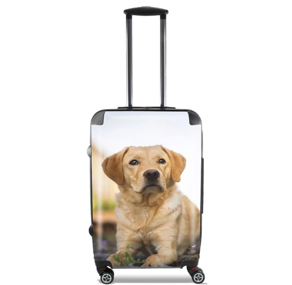  Labrador Dog for Lightweight Hand Luggage Bag - Cabin Baggage