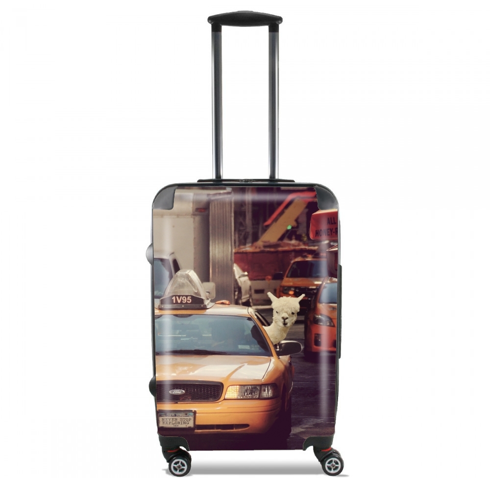  Lama in New york for Lightweight Hand Luggage Bag - Cabin Baggage