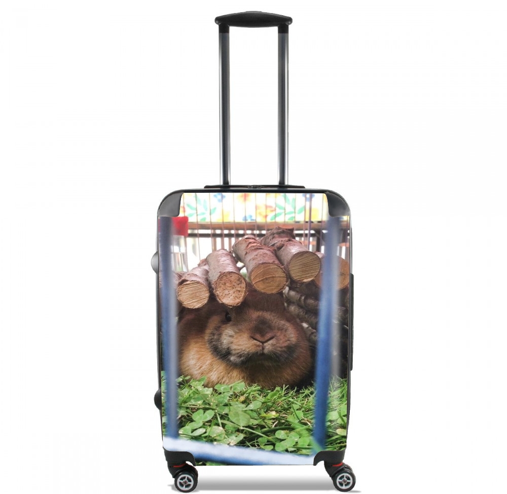  Rabbit's Love for Lightweight Hand Luggage Bag - Cabin Baggage