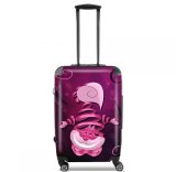  Ribbon Cat for Lightweight Hand Luggage Bag - Cabin Baggage