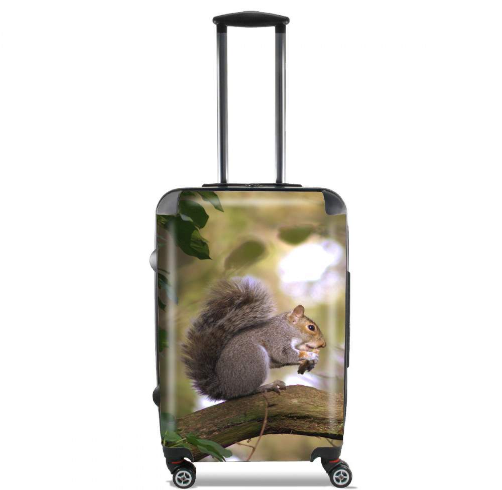  squirrel gentle for Lightweight Hand Luggage Bag - Cabin Baggage