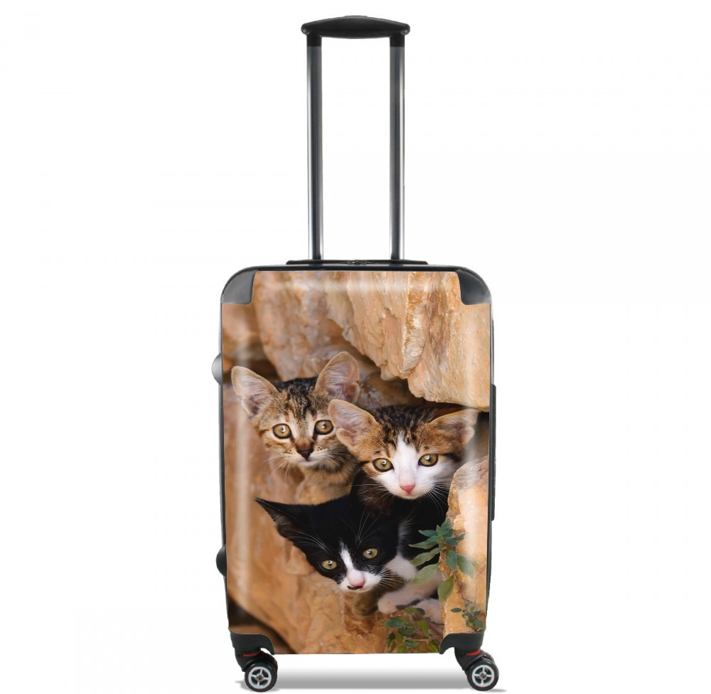  Three cute kittens in a wall hole for Lightweight Hand Luggage Bag - Cabin Baggage